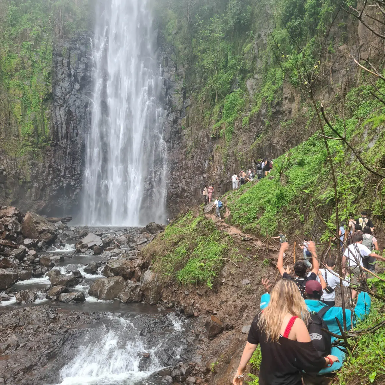 Materuni Waterfalls &amp; Coffee Tour — Bush Lion Tours day trip
