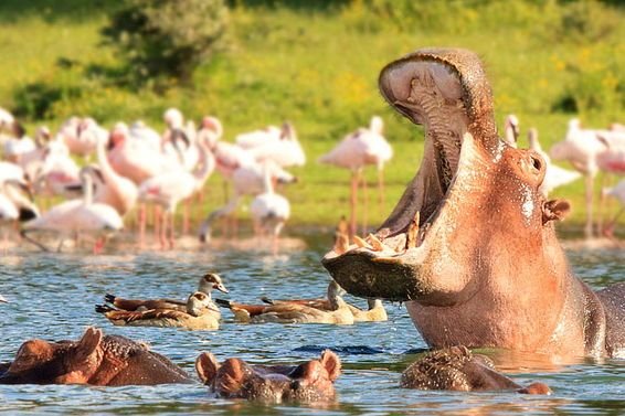 Serengeti National Park