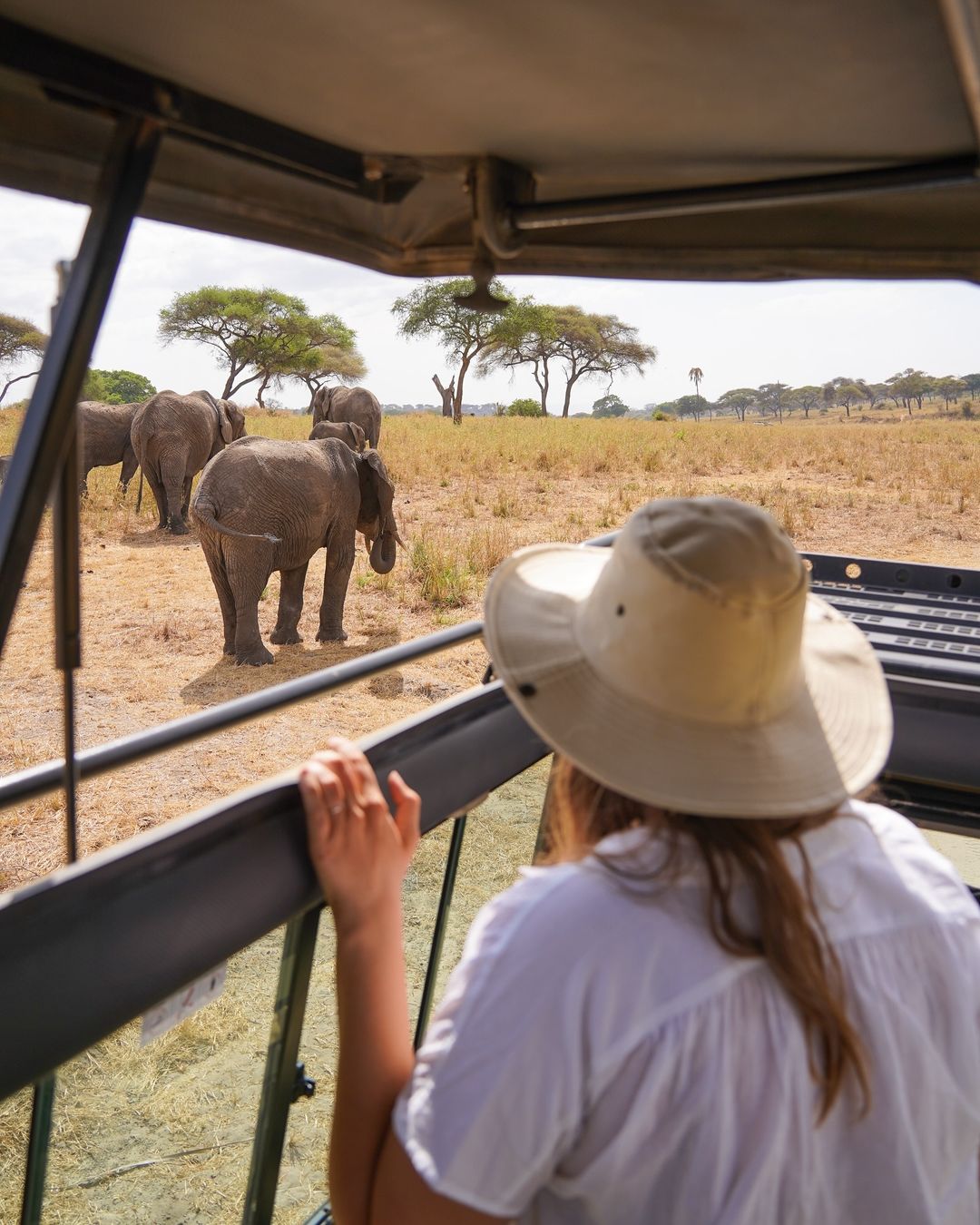 Lake Manyara scene 4