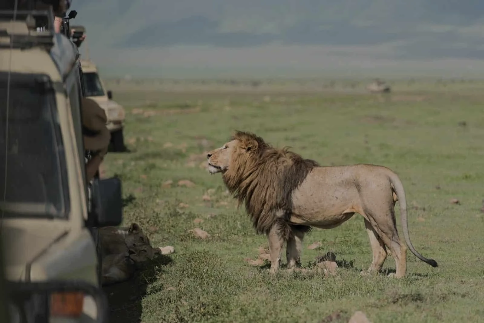 Safari vehicle watching sunset in the Serengeti